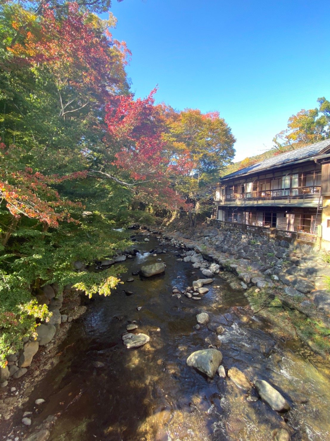 修善寺温泉に行ってきた！！感想まとめ